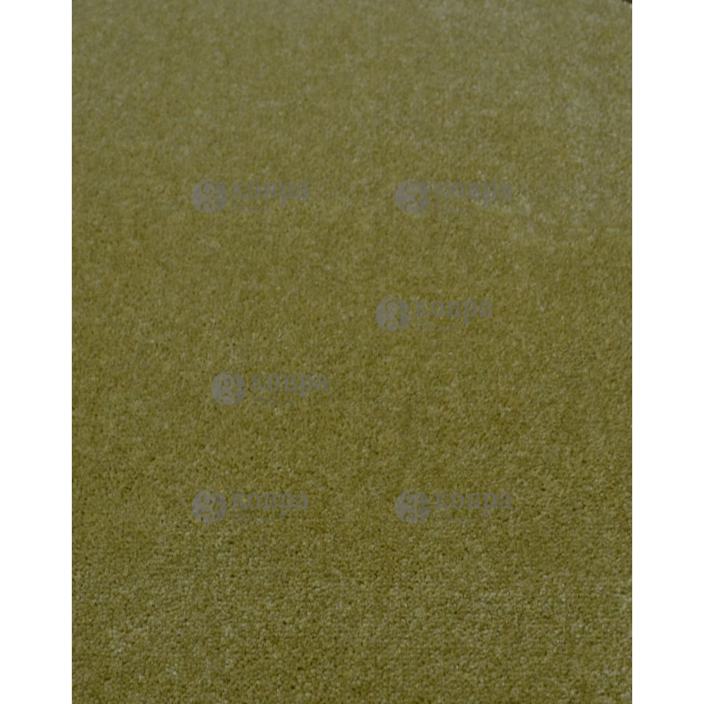 Ковролін для дому SPINTA (green) 