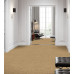CARUS HOSPITALITY BS012-22104