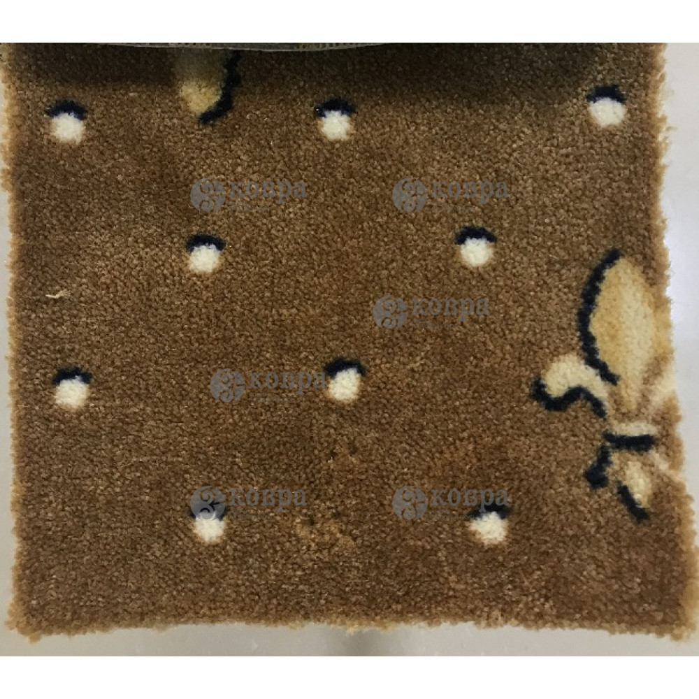 CARUS SELECTION SE014-21B14